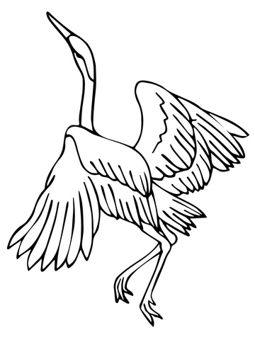 Heron Dance Coloring Page